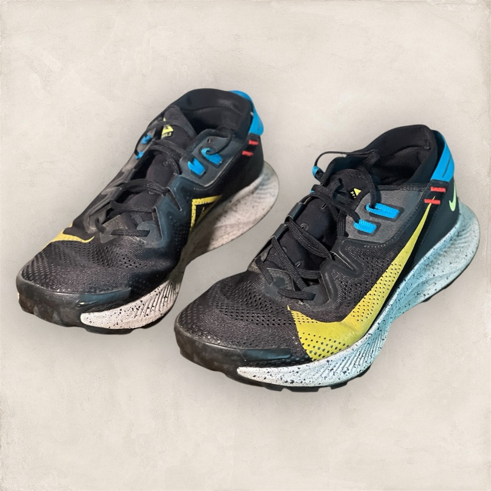 Nike Pegasus Trail 2 | 10.5